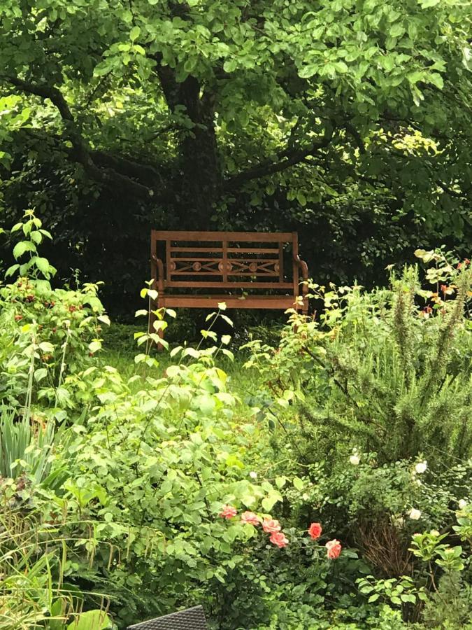 Gartenwohnung 군델핀겐 외부 사진